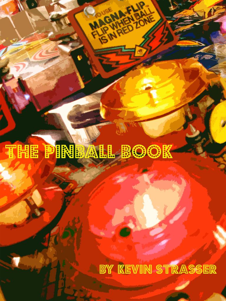 The Pinball Book cover
